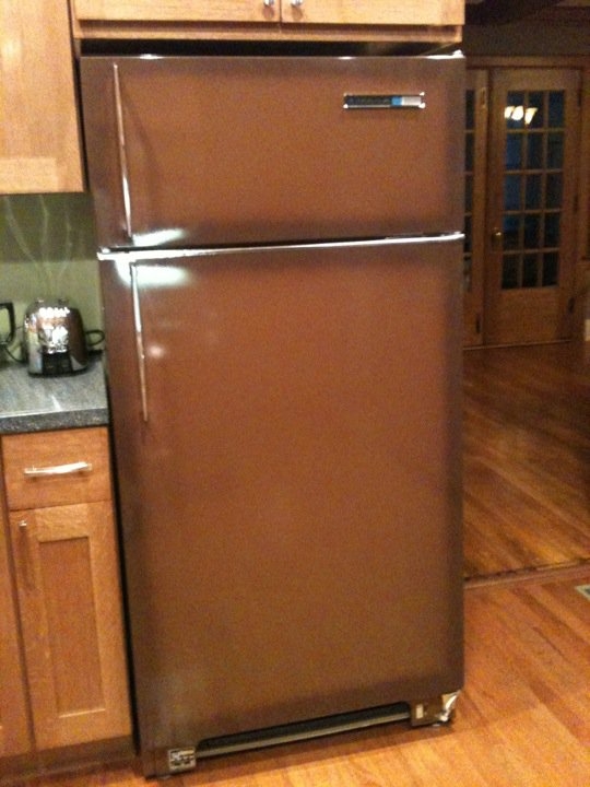 Retro home needs Avocado (or coppertone) range, fridge and dishwasher!